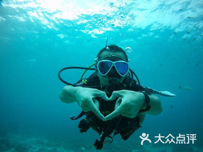 逃离大犀牛出没地