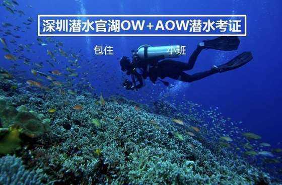 梦幻西游手游