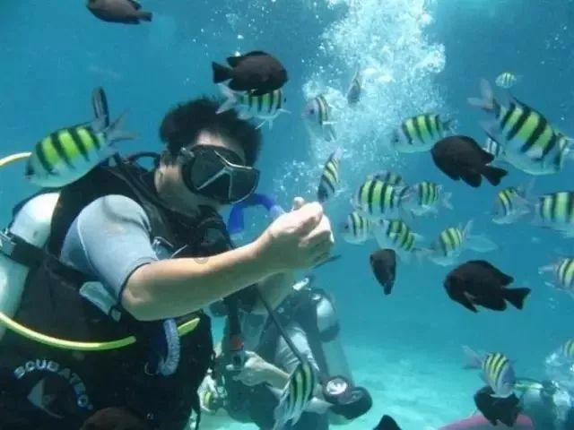 多重利好因素持续叠加 中国经济“破浪前行”有底气、有信心