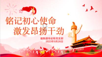 眼镜蛇秘密行动