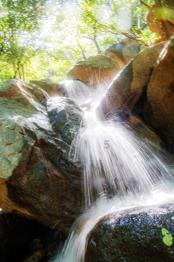 永远的挑战者：400年俄罗斯从弱到强横贯4大国际体系