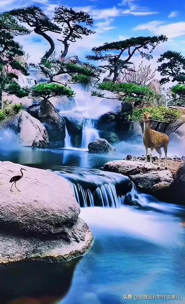 贪吃鼠吃豆豆