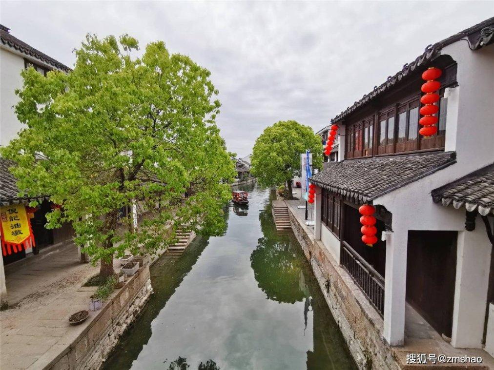 解救金刚鹦鹉